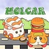 车 — molcarstip