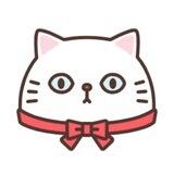 绅士猫SSMao.XYZ - 让世界触手可及
