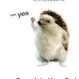 Hedgehog $YES | PORTAL