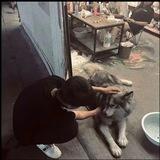 786🇨🇳 抖音代发 不看播放量