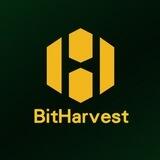 Bitharvest official