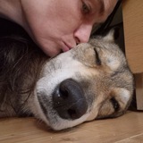 -Schattenwölfin - Der andere Blick!