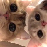 ♡
