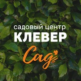 КлеверСад