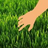 Touch Grass Portal