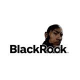 BLACK ROCK COIN PORTAL