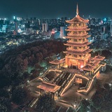 佛山出击车队