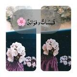 قَبسَاتٌ و فوَائدٌ 🌸