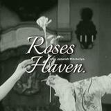 Roses Haven: The exquisite splendour born from a miraculous palm.