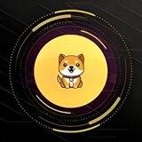CRAZY BABY DOGE (RENOUNCE & LoW TAX)