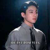 ideas from vian'