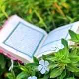 على خطى السلف