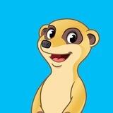 TIMON