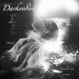 DARKOODIRE, OPEN