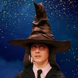 HarryPotterWifhat Portal