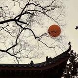 阔鱼国际走私
