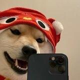 Sk手机📱口42起
