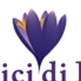 Amici di Dirk® Germanische Heilkunde® Originalliteratur - Dr. med. Mag. theol. Ryke Geerd Hamer