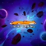Flat Doge Entry