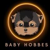 Baby Hobbes