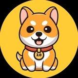 Baby Doge Coin 2.0 🐶️️️️