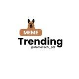 Meme Trending Info