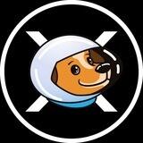 Doge Space X - Entry