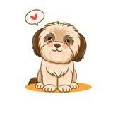 YORKIE INU || LOW TAX 0/0