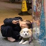 满天星信誉频道