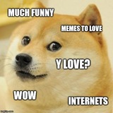 Doge Videos