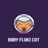 🐱🌚BABY FLOKI CAT🌚🐱