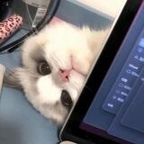 雨信誉墙