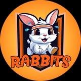 Rabbits 🐰