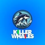 Killer Whales | Crypto Show inspired by Shark Tank