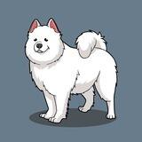 SAMOYED | LP BURNED | 1/1