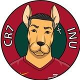 CR7 INU