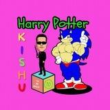 HarryPotterArnoldSonic10Inu