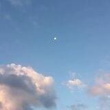 •Lune•