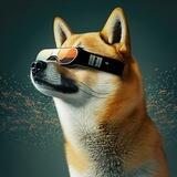 Shibify Erc20 - Portal