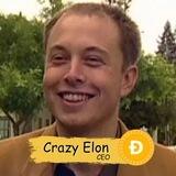 Crazy Elon CEO