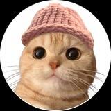 Meowifhat | Solana channel
