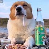倩倩的朋友圈