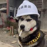 强盛 微信数据单