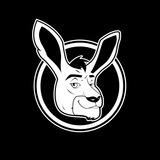 Kangamoon Official Announcements