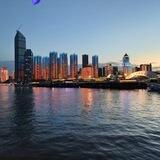 顶尖支拉
