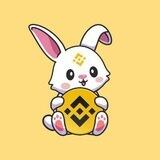 BNBhare🌎🐰