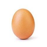 $EGG