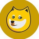 DOGE MONEY Group