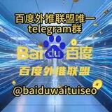 百度外推联盟代付公群G-002（供押1000U）