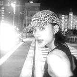 stay archive